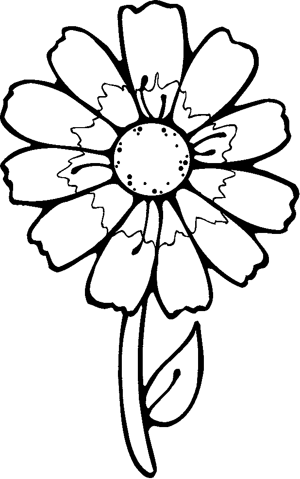 images of coloring pages of flowers - photo #38