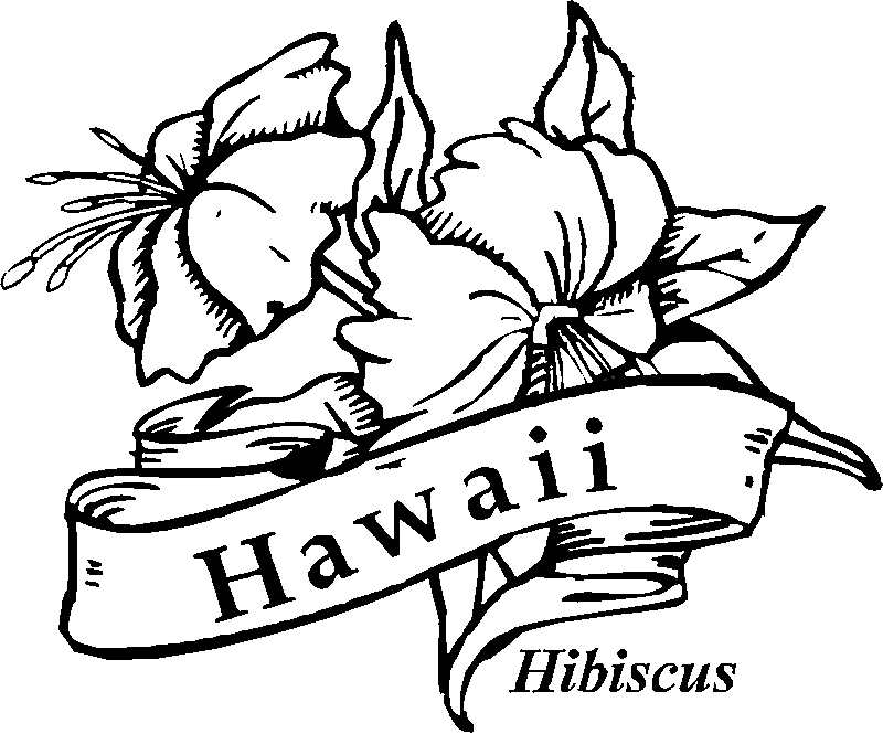 hawaiian flowers cartoon. kids hawaiian flower color