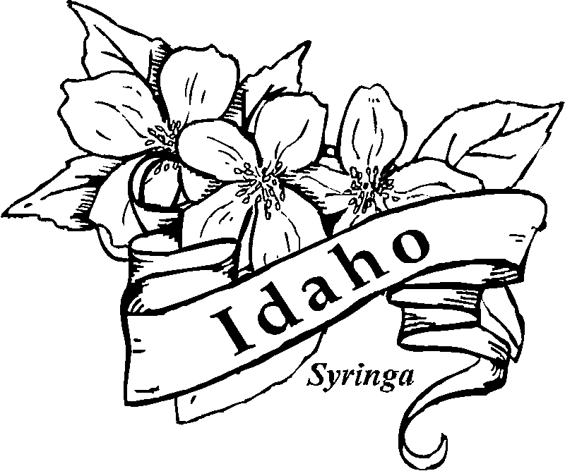 idaho state flag coloring pages - photo #32