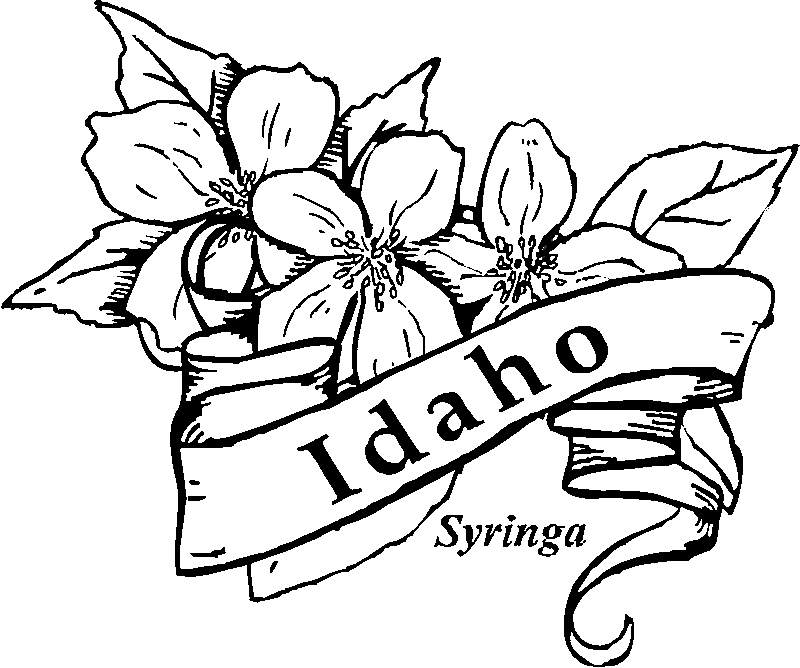 idaho coloring pages - photo #10