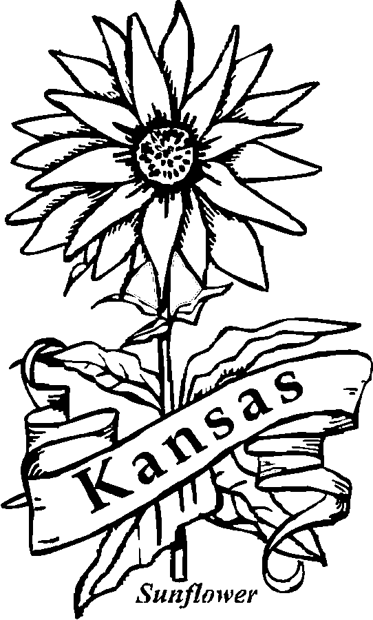 k state coloring pages - photo #15