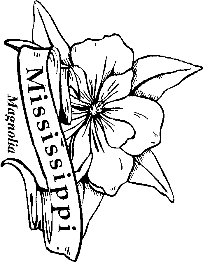 magnolia flower coloring pages - photo #5