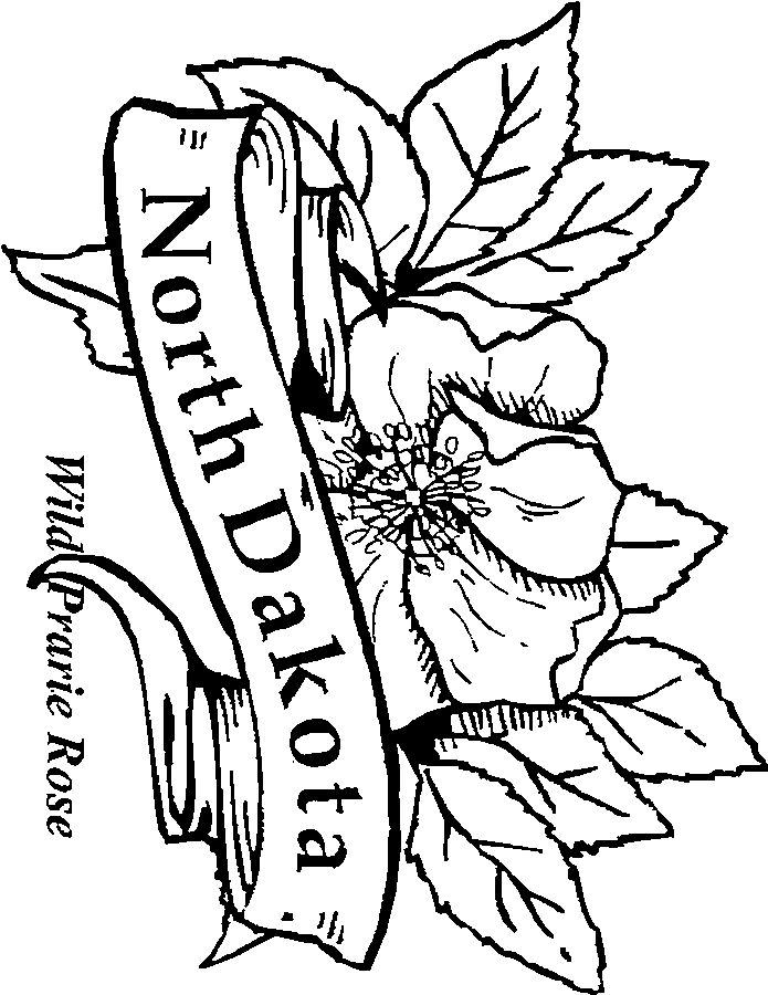 yellow rose coloring pages - photo #22