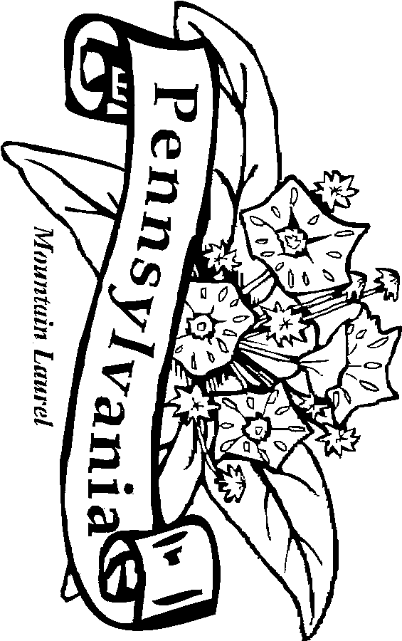 pennsylvania state flower coloring pages - photo #3