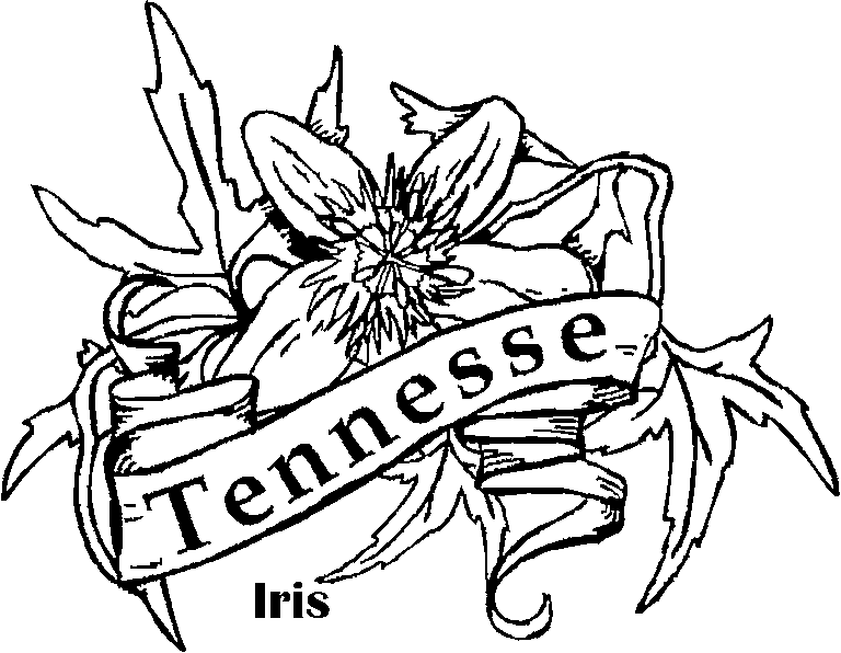 nashville tennessee coloring pages state flower - photo #9