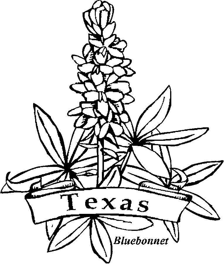 state of texas symbols coloring pages - photo #39