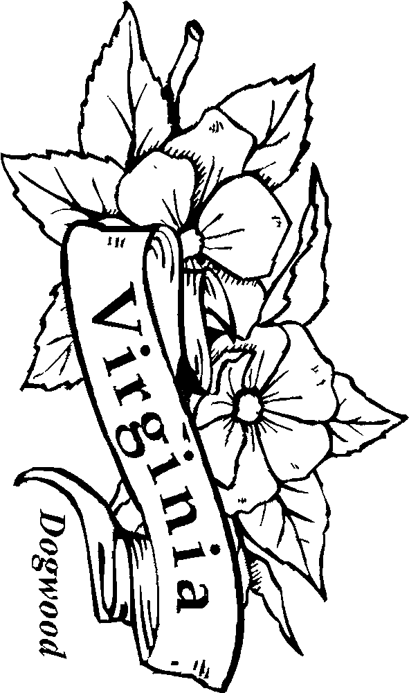 dogwood flower coloring pages - photo #8