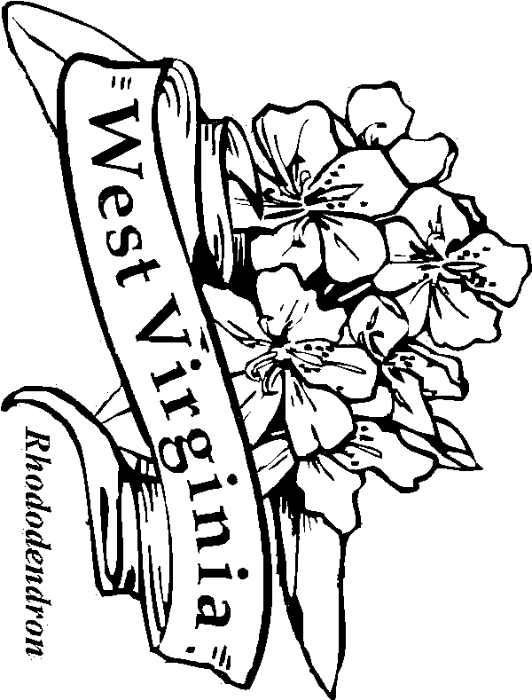 coloring pages for rhododendron - photo #6