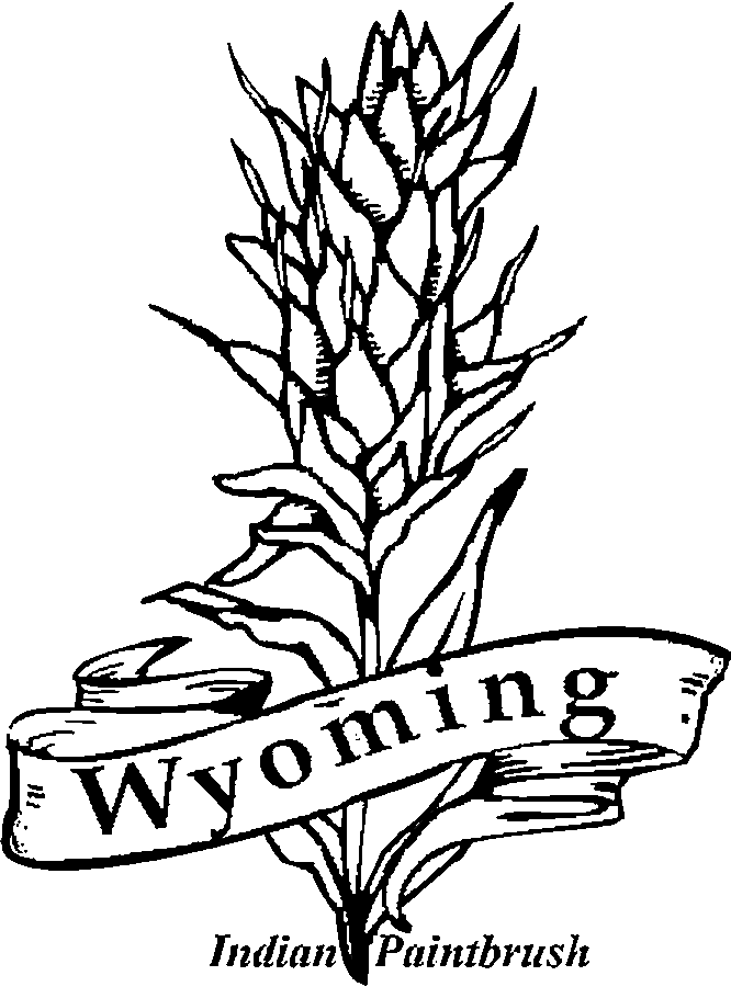 nebraska state tree coloring pages - photo #20