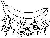 ants coloring page for kids