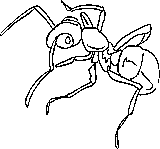 ants coloring page for kids