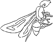 ants coloring page for kids