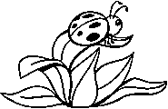 kids bug coloring page