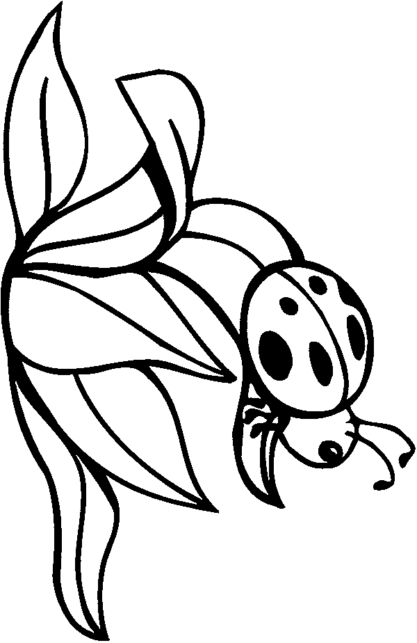 Bugs Coloring Printables for Kids - Ladybugs, Beetles and more