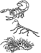 kids bug coloring page
