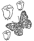 butterfly coloring printable for kids