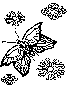 butterfly coloring printable for kids