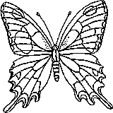 butterfly coloring printable for kids