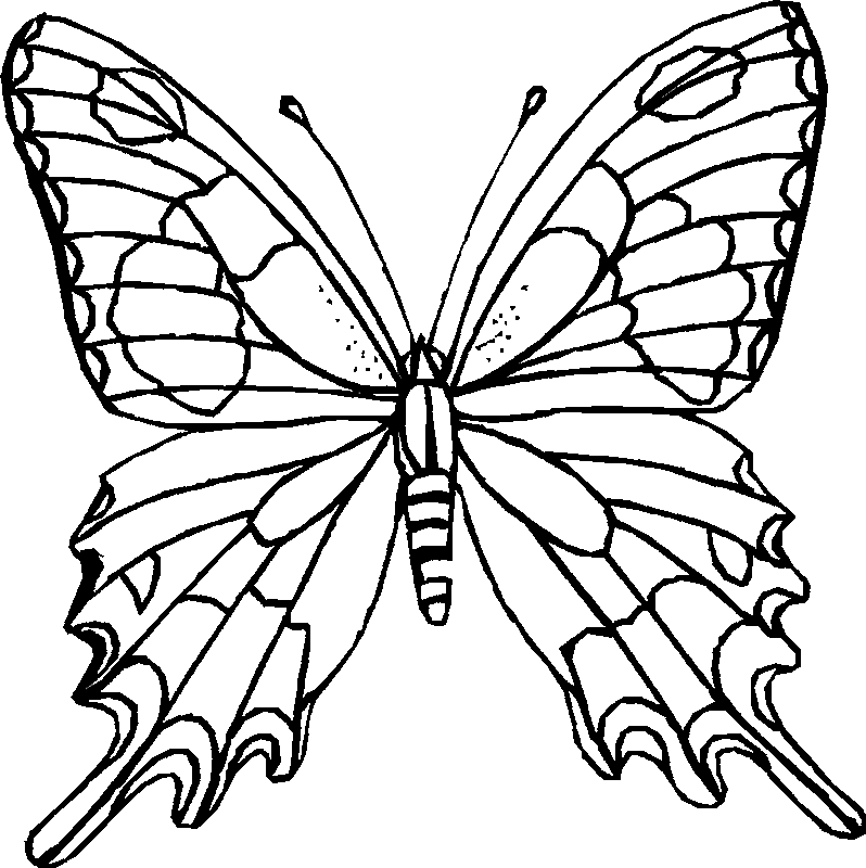 Download Butterfly Coloring Printables for Kids