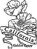 California state flower coloring printable