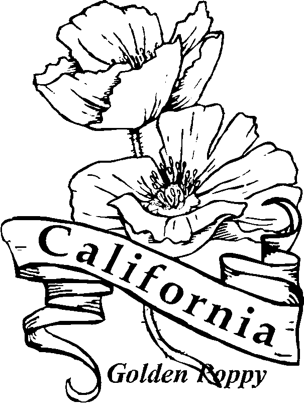 50 State Flowers Coloring Pages For Kids