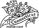 Connecticut state flower coloring printable