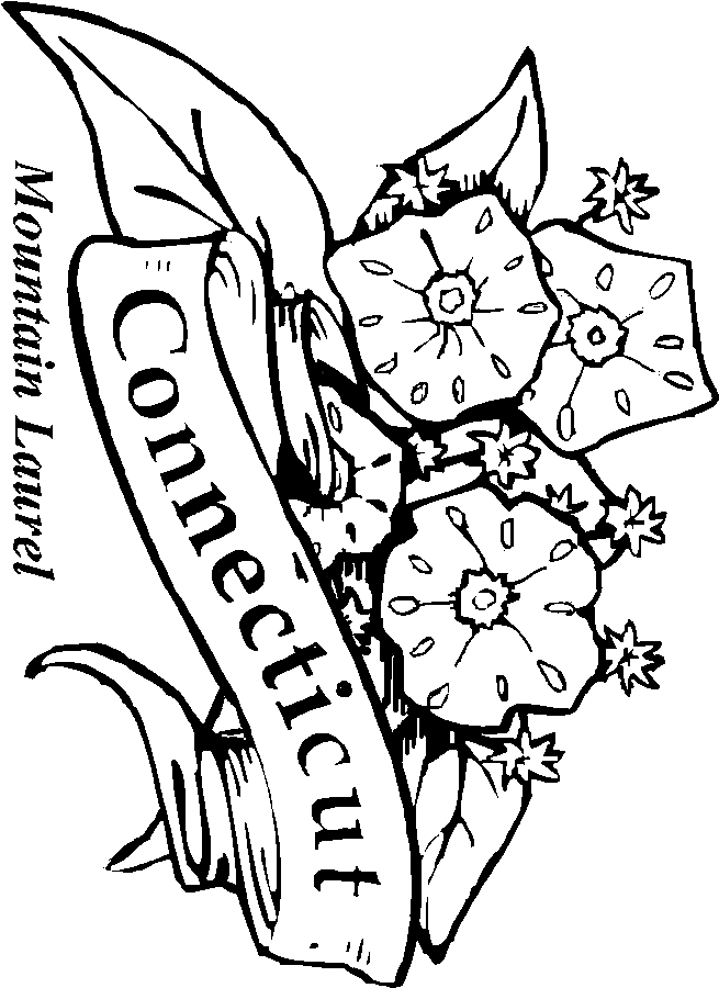 50 State Flowers Coloring Pages for Kids