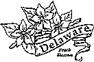 Delaware state flower coloring printable