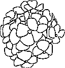 flower coloring printable