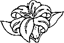 flower coloring printable