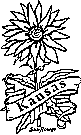 Kansas state flower coloring printable