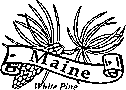Maine state flower coloring printable