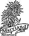 Maryland state flower coloring printable