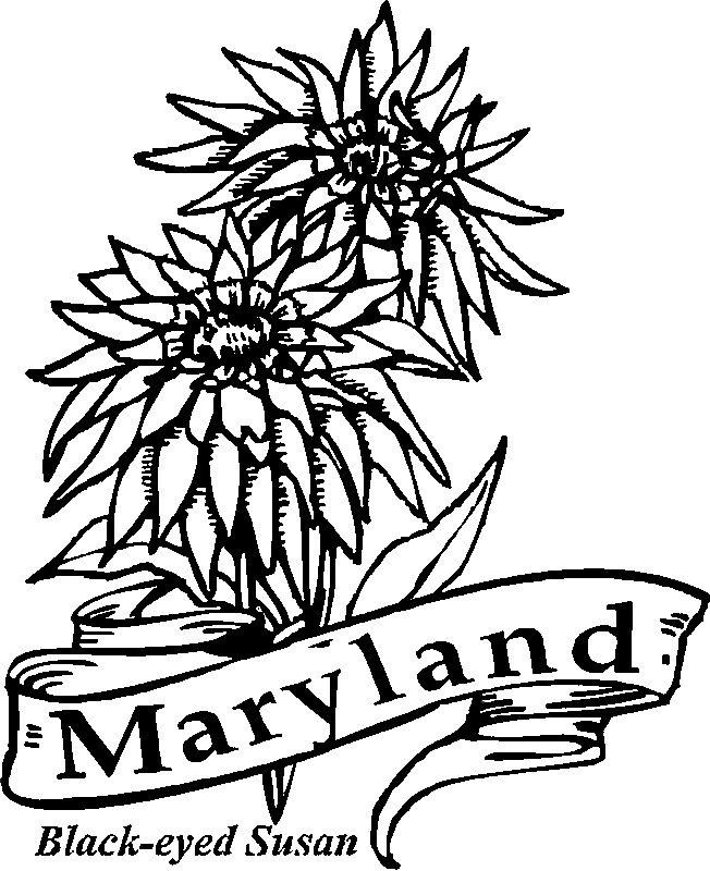 50 State Flowers Coloring Pages for Kids