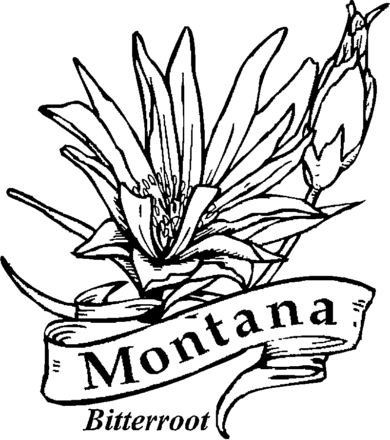 50 State Flowers Coloring Pages for Kids