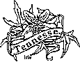 tennesse state flower coloring printable