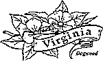 virginia state flower coloring printable